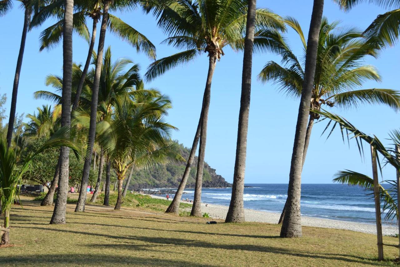Villa Atypique Le Chat Perche De Grand Anse Petite Île エクステリア 写真