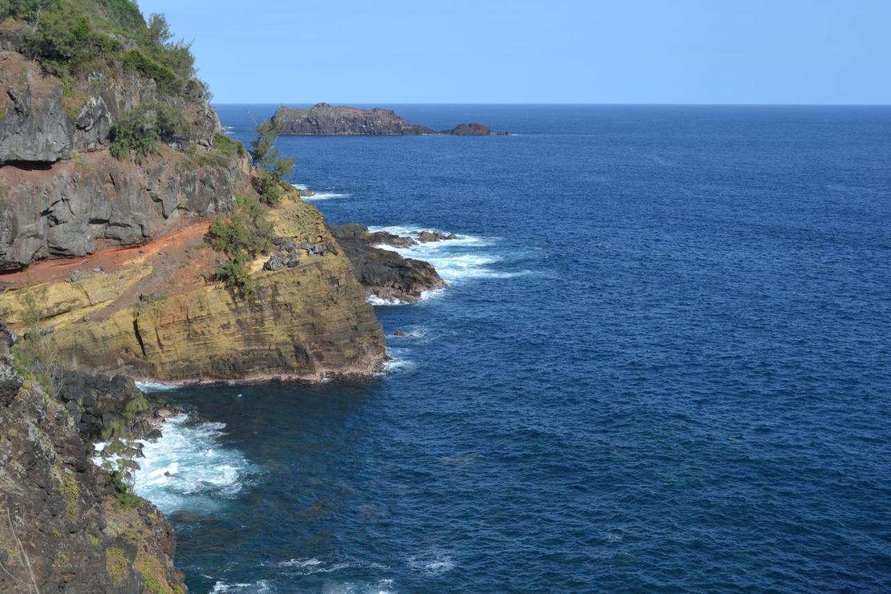 Villa Atypique Le Chat Perche De Grand Anse Petite Île エクステリア 写真